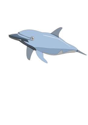 Download free animal dolphin icon